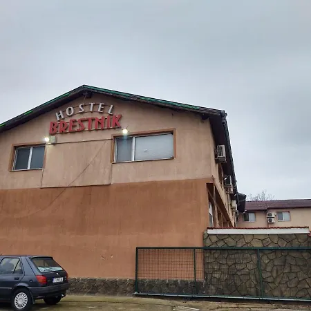 Hostel Brestnik *